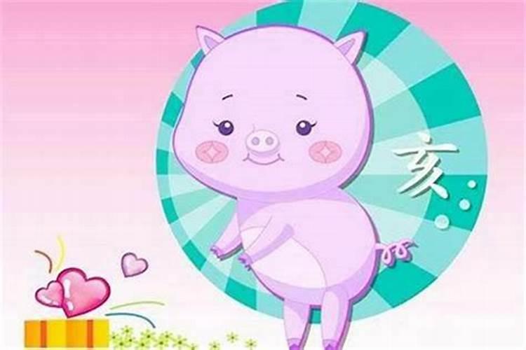 属相男狗女猪婚配,狗和猪相配婚姻如何