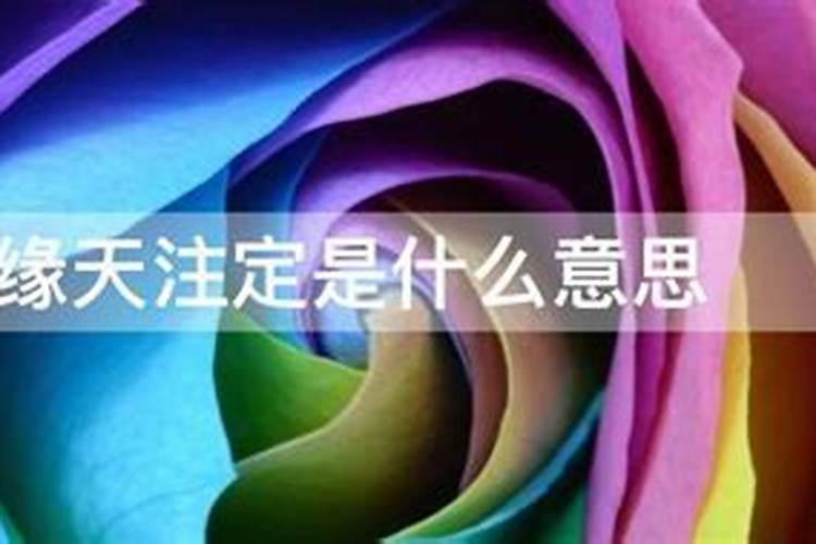 夫妻之间的缘分是天注定的吗？