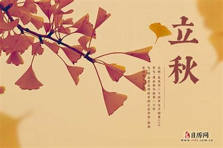 吴川的春节习俗与其地理环境有什么关系
