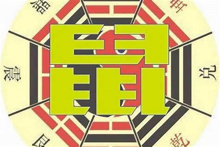 客厅风水讲究家运旺盛事业顺