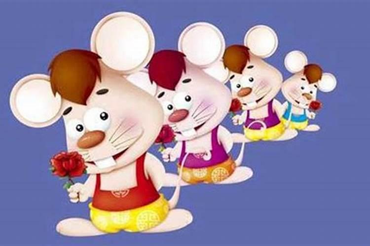 1996属鼠女命一生姻缘,1996年属鼠女一生的运势运程