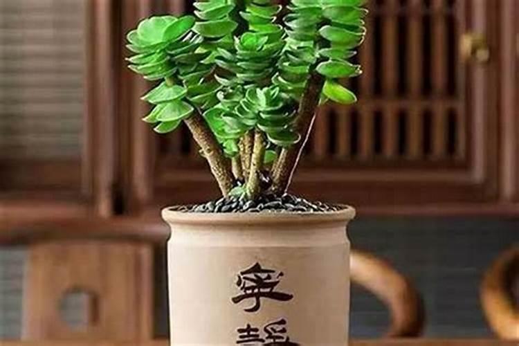 12生肖住几楼最旺 夫妻以谁的属相选楼层