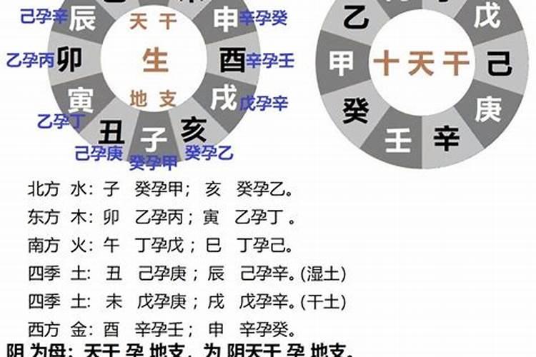 什么是本气、中气、余气？