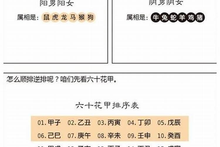 1981年六月初一午时出生王琴一生运程