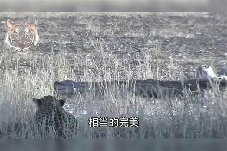 2024年腊八节是结婚吉日吗？