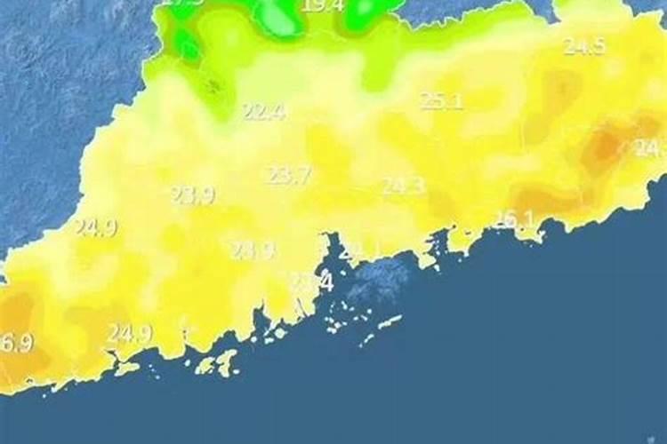 增城迟菜心