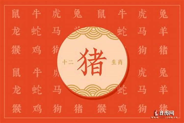 属猪人2024年5月运势