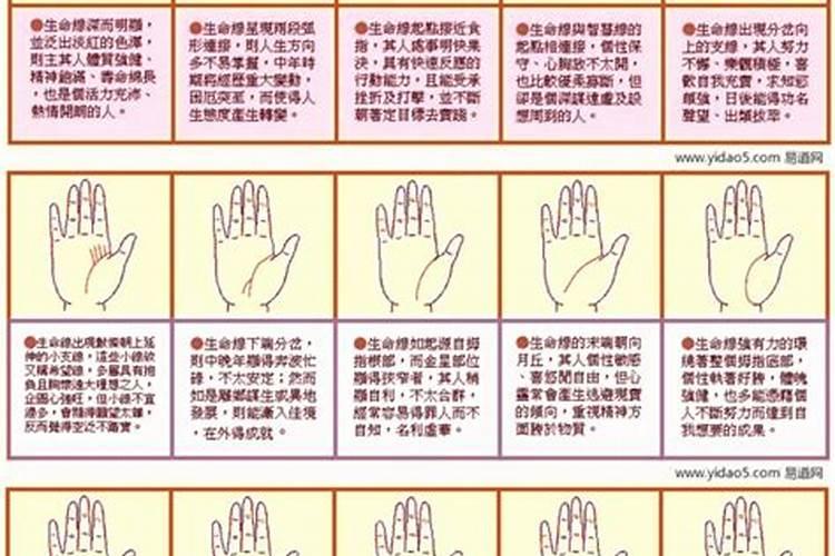 命格是乙木命的人,如何判断自己有没有富贵命？