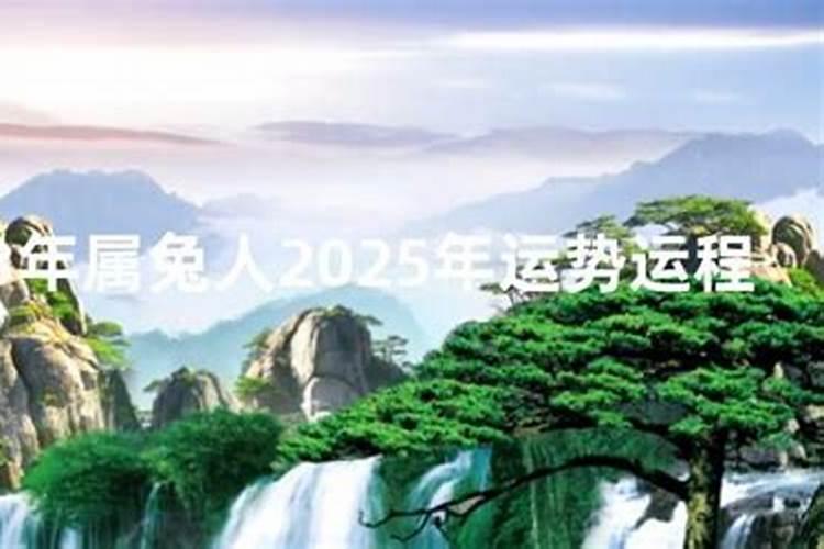 72年鼠在2025年的每月运势