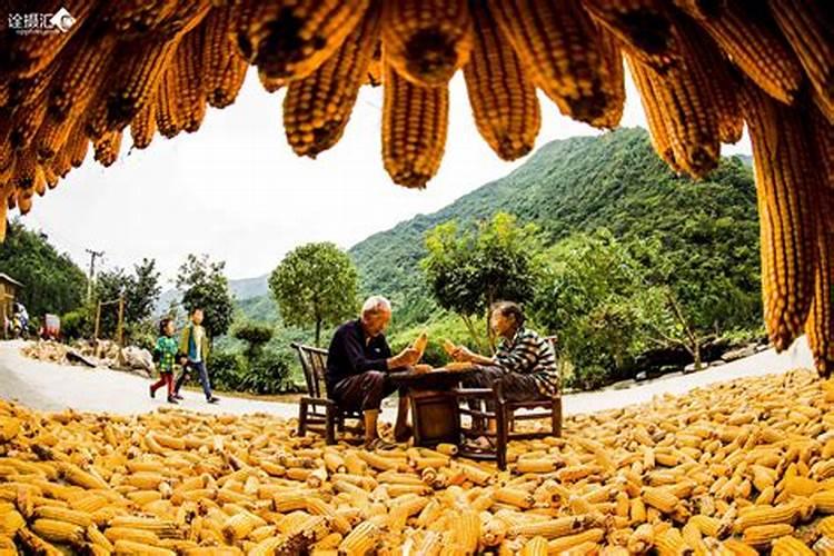 梦见院子里有水是什么意思？