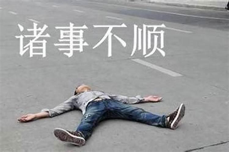 武义县柳城畲族镇过年新女婿要送什么