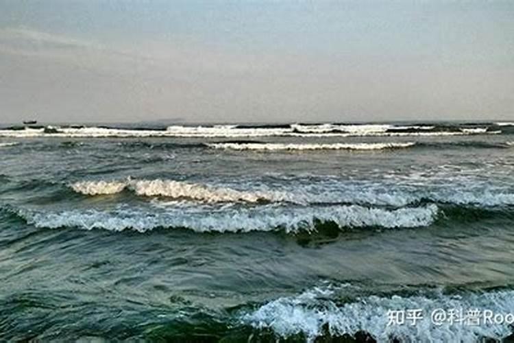 梦见大海落潮 大海退潮是什么意思？