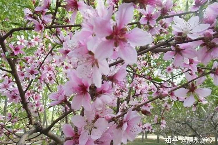 八字算命:女人命理属于上等的八字有哪些？