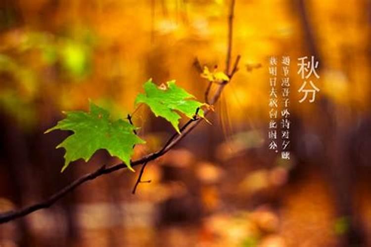 元宵节和汤圆的寓意是什么