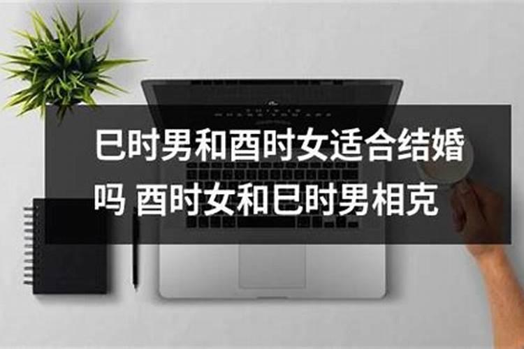 麦玲玲属狗2022年运势及运程详解 全年每月运势详解？