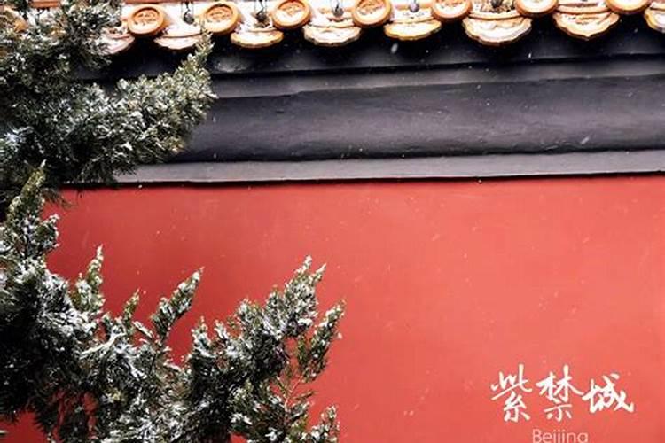 属马戴什么最旺