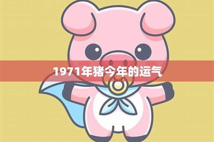 71年猪女在2025年的全年运势如何
