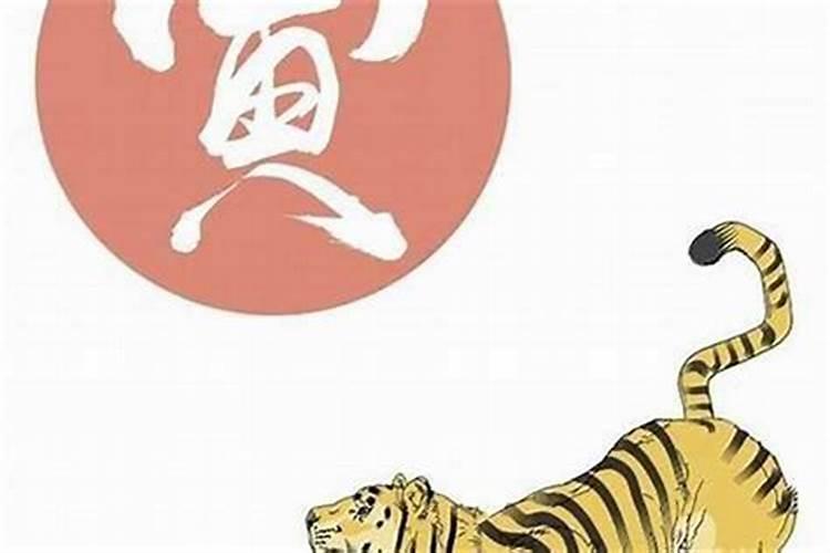 属虎和属龙的相配吗