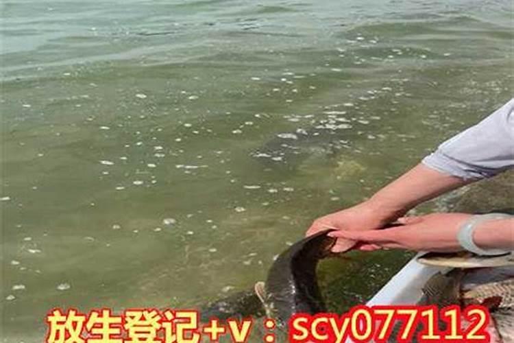 堕胎的危害,堕胎后如何还阴债？