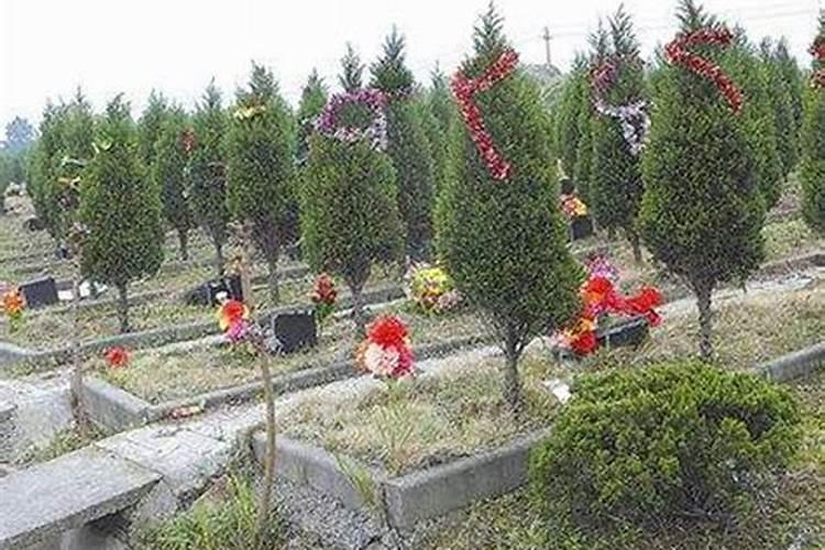 梦见栽竹子是什么意思？
