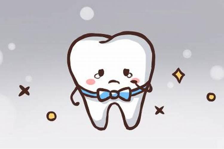 明年属狗的运气好吗
