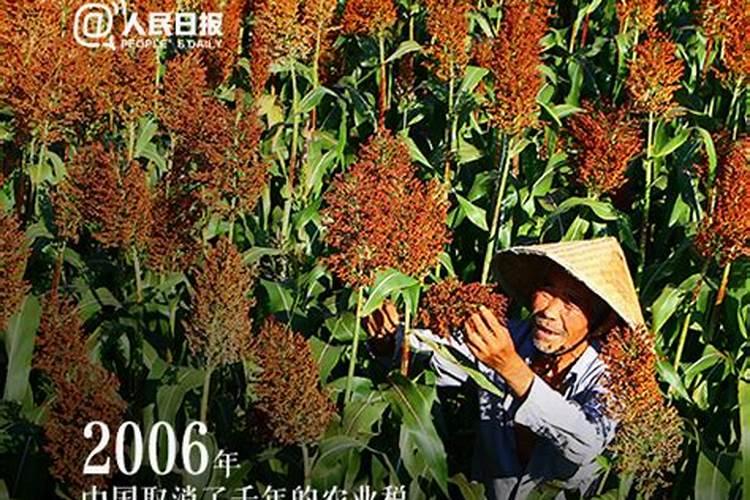 本命年生孩子好吗
