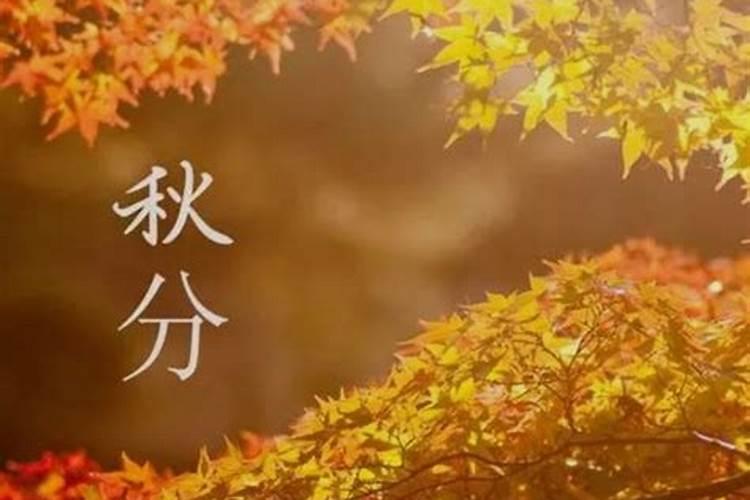 一个人一生的命运真的靠八字就可以决定的吗？？请专业的告诉我