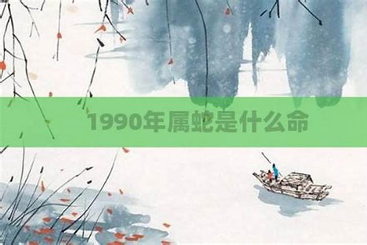 1989年蛇是什么命五行属什么