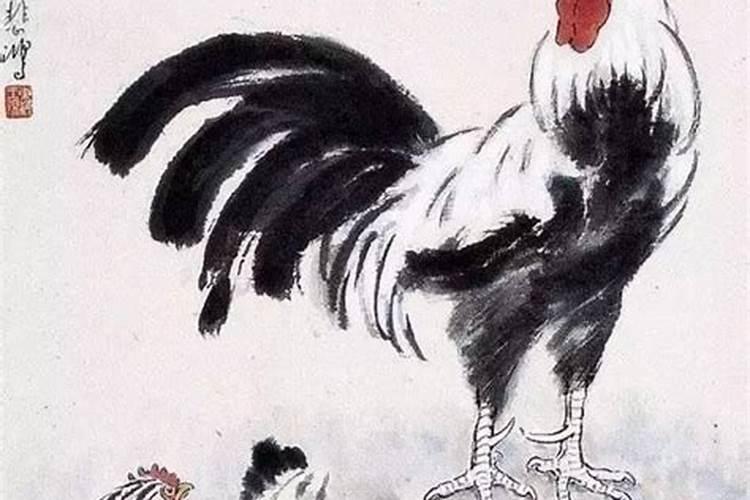 属龙的女孩子跟什么属相的结婚最好？