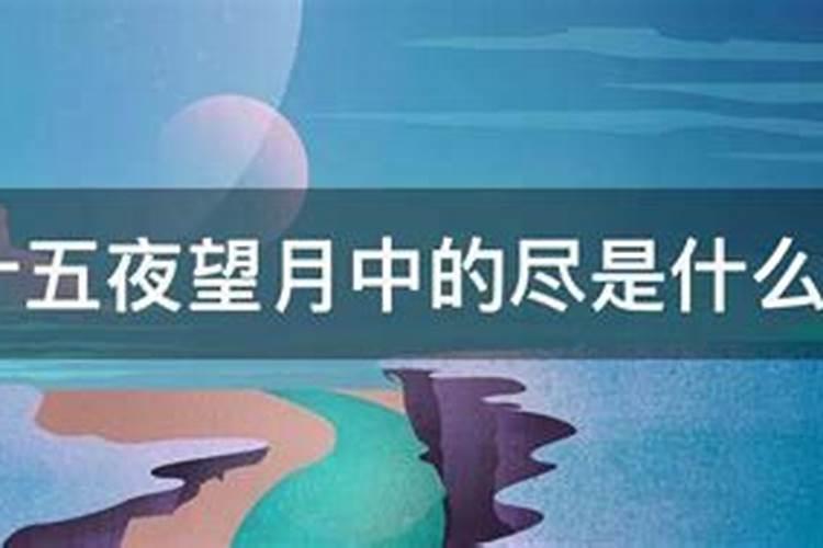 15夜望月寄杜郎中 的古诗