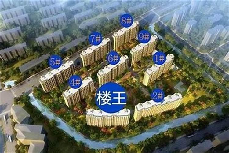 属蛇人流年运势运程
