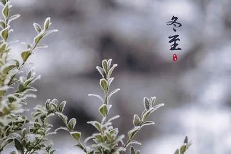 冬至祭奠父母有什么规定？