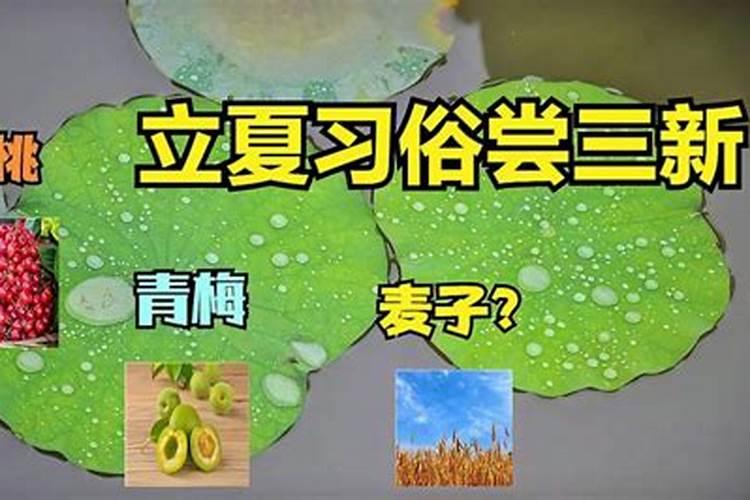 怎么查自己的大运流年