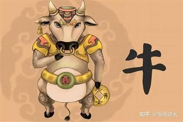 属牛人未来五年运势惊喜与刺激并存