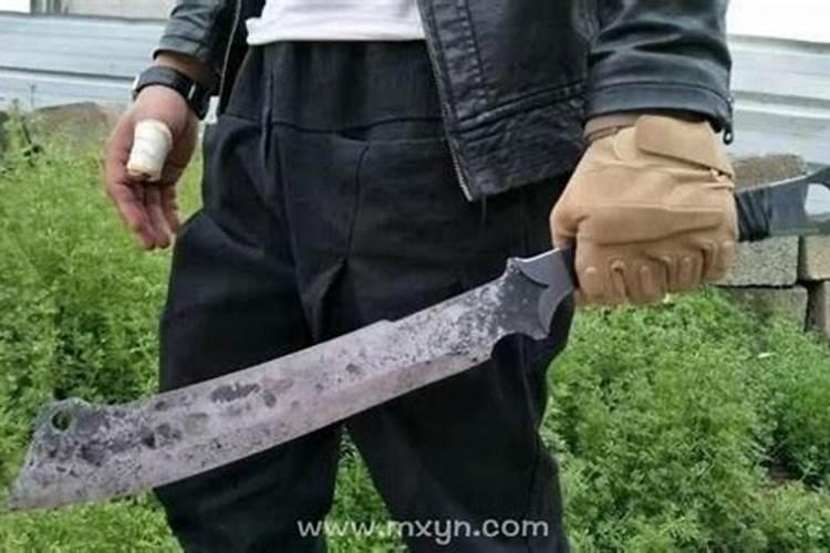属鼠人今年几月戴孝布