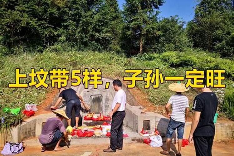年前几号上坟最好