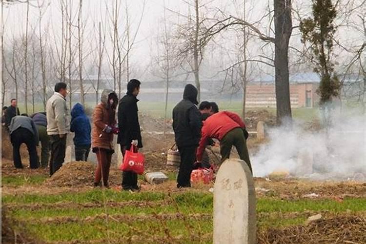 农历十二月是什么属相,农历12月属什么生肖