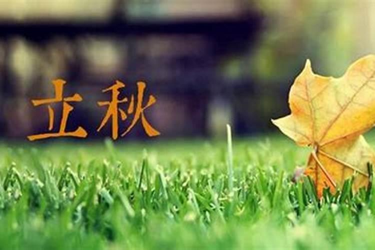 什么属相的人不能养兔 哪些属相不适合能养兔