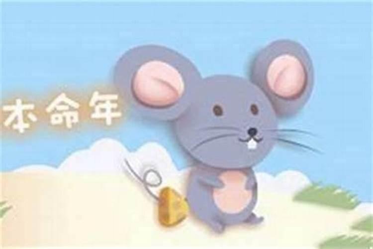 八字中的干支是怎样的作用关系？举例说说。有隔支不作用的说法吗？百 ...