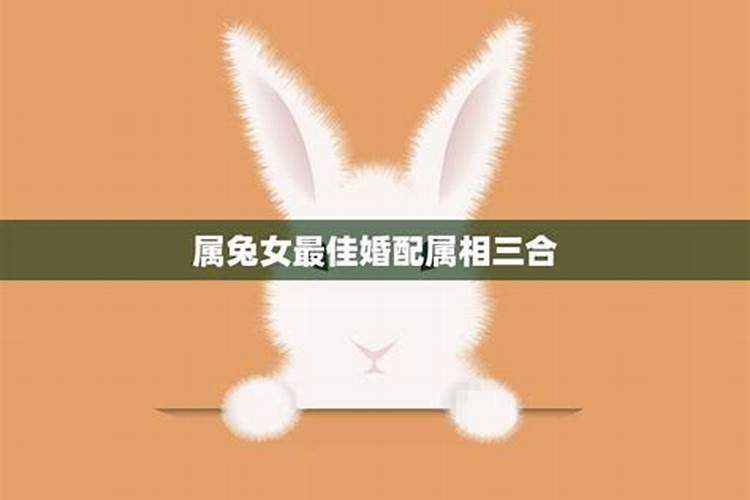 属兔女最佳婚配属相