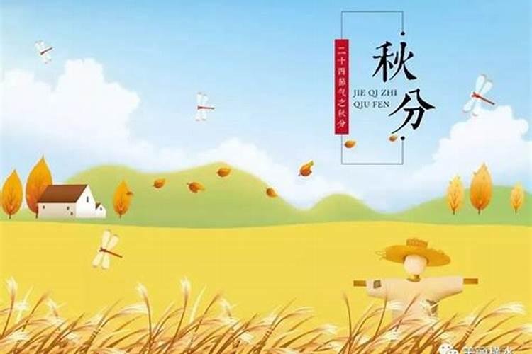 怎么判断八字喜忌和喜用神,八字怎么看十神,神煞的喜用忌用呢？