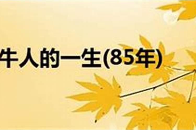 2025济宁春节哪里能看灯会