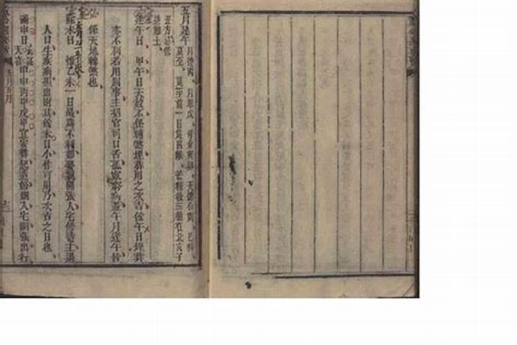 属狗的人养什么宠物最旺财