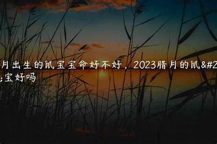 2020鼠年农历十二月十五是什么日子 开业好不好？