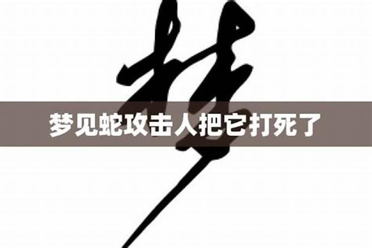 最近老梦到蛇并因为害怕把蛇踩死了,代表什么？