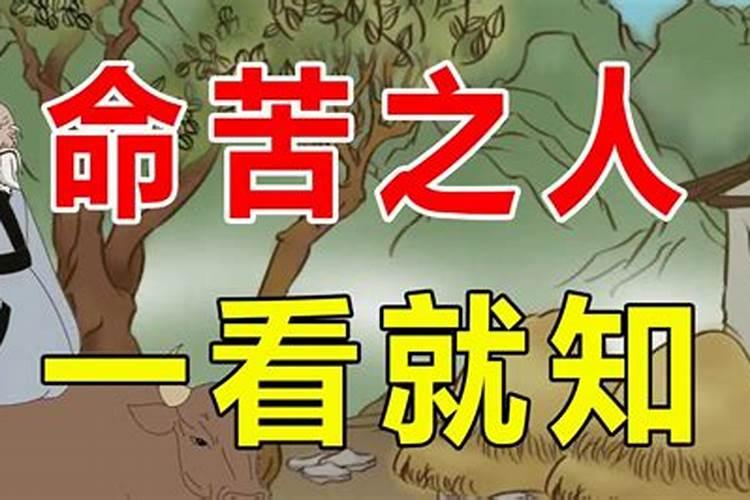 命苦之人一看便知最简单三个特征