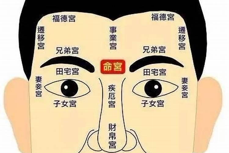 出生年月看骨相什么骨相的人命好