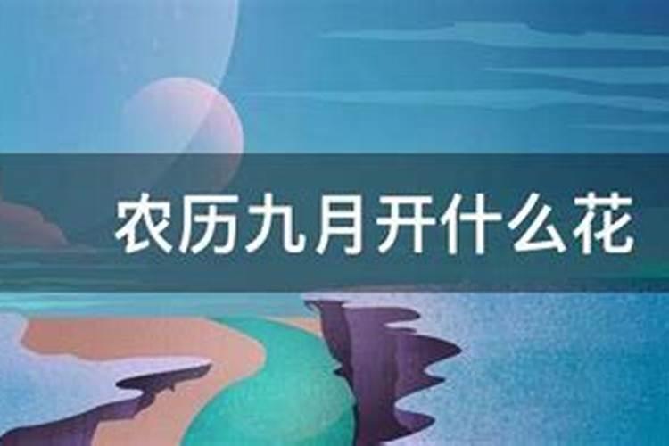 命坐“临官”气数,会有怎样的命理特点？
