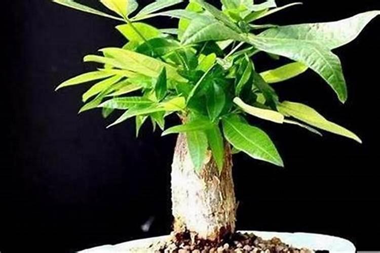 看生辰八字能算出有几个孩子命吗？