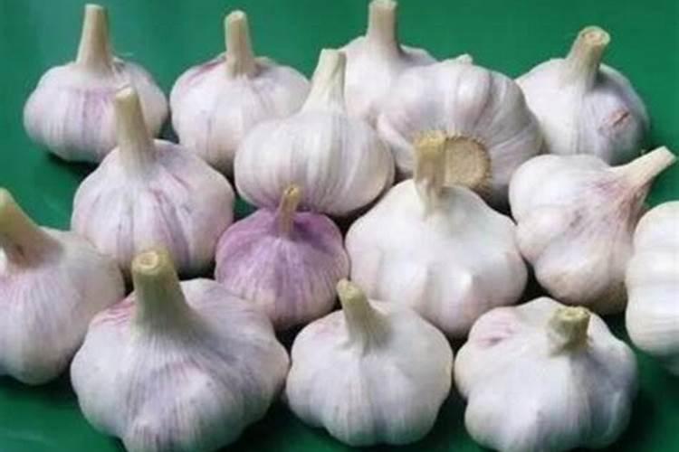 属虎人一生最克3个人 虎和哪些属相不合